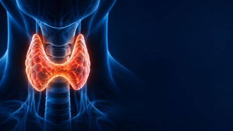 مجسم ثلاثي الأبعاد للغدة الدرقية يتوهج أمام ظل رقبة على خلفية كحلية